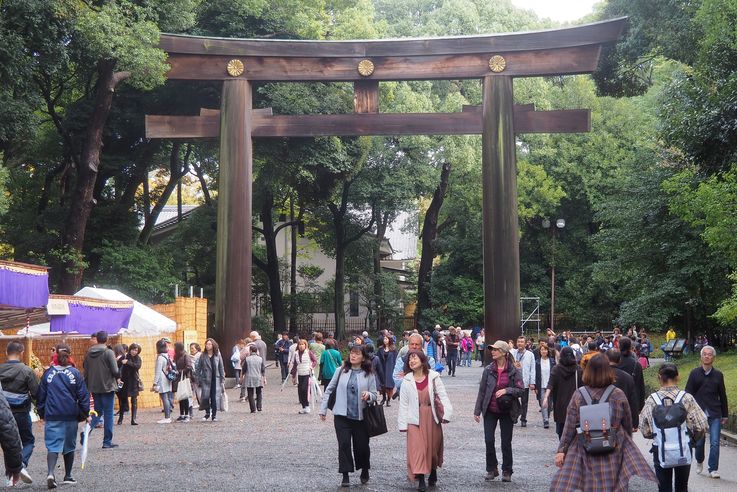 Parc Yoyogi (Tokyo)
Altitude : 81 mètres