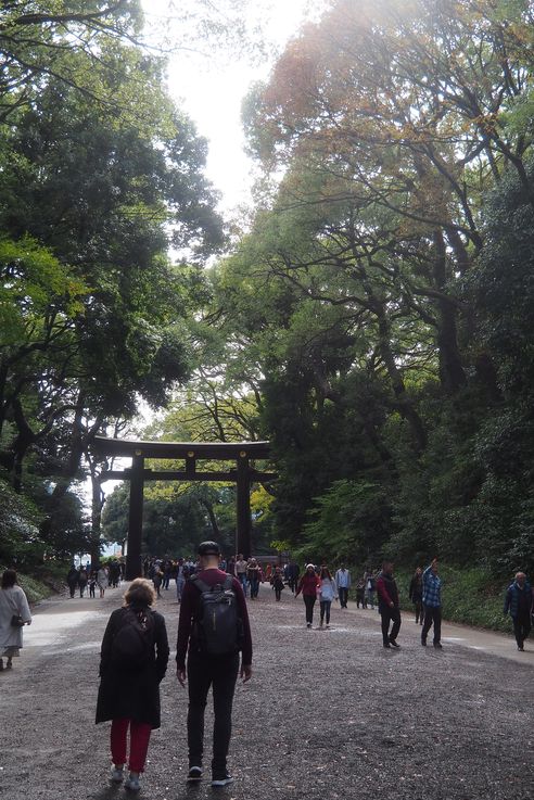 Parc Yoyogi (Tokyo)
Altitude : 70 mètres