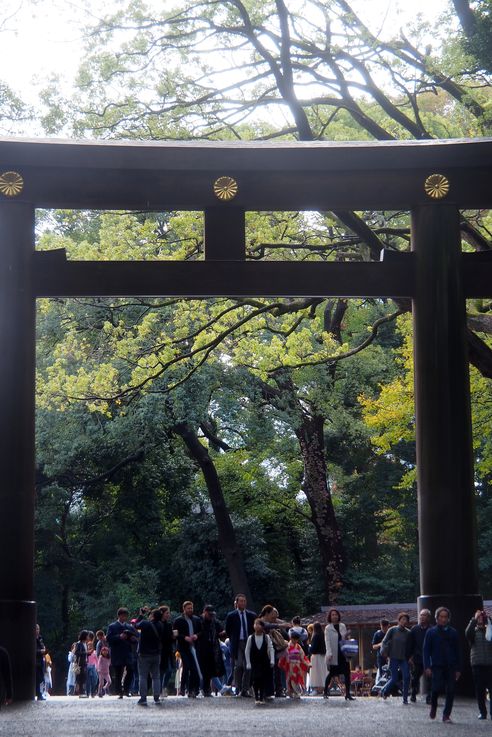 Parc Yoyogi (Tokyo)
Altitude : 72 mètres