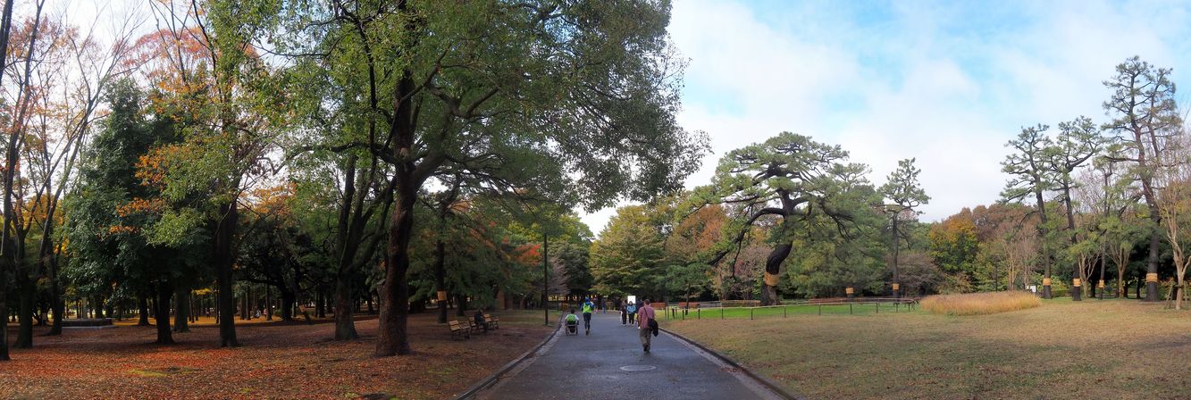 Parc Yoyogi (Tokyo)
Altitude : 74 mètres