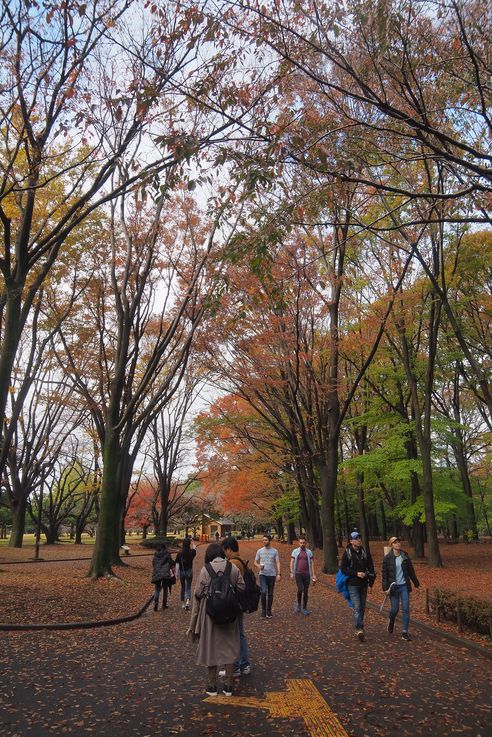 Parc Yoyogi (Tokyo)
Altitude : 76 mètres