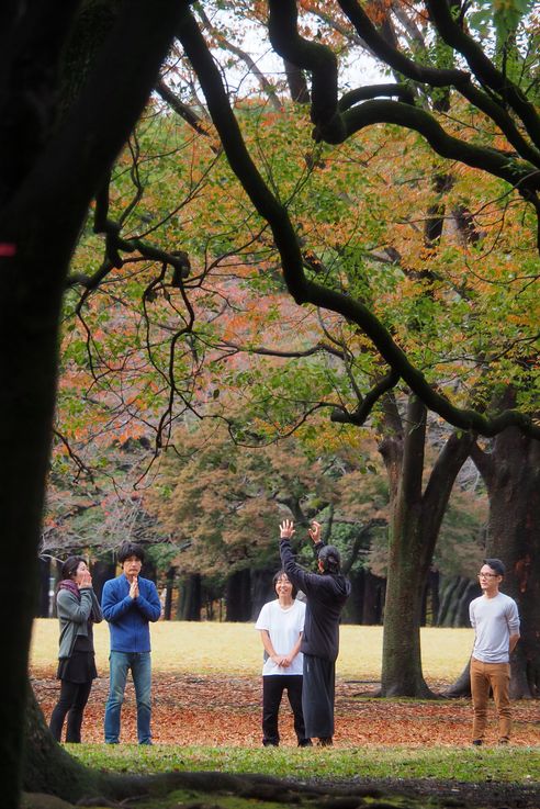 Parc Yoyogi (Tokyo)
Altitude : 77 mètres