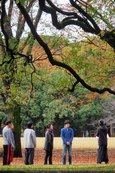 Parc Yoyogi (Tokyo)
Altitude : 77 mètres