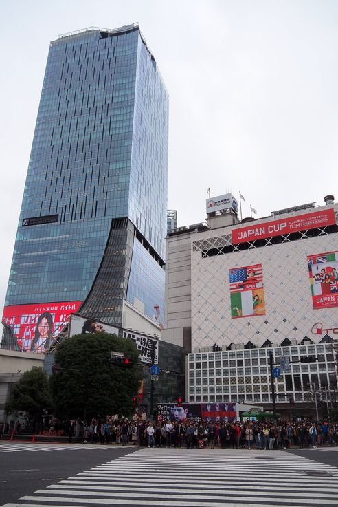 Passage Pietons Shibuya Crossing (Tokyo)
Altitude : 76 mètres