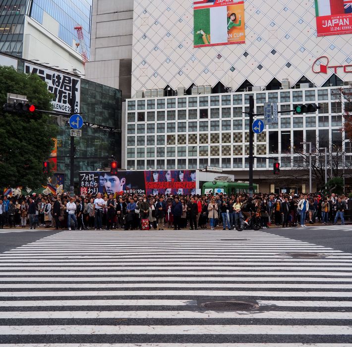 Passage Pietons Shibuya Crossing (Tokyo)
Altitude : 76 mètres