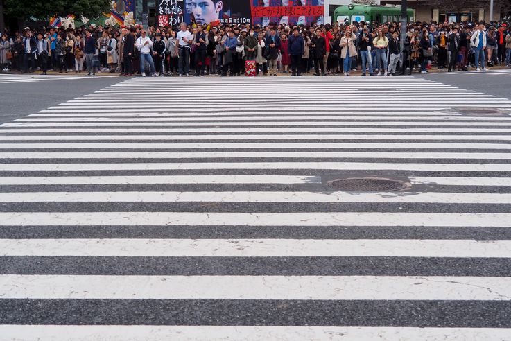 Passage Pietons Shibuya Crossing (Tokyo)
Altitude : 76 mètres