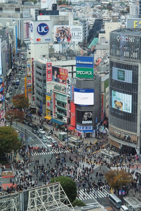 Passage Pietons Shibuya Crossing (Tokyo)
Altitude : 138 mètres