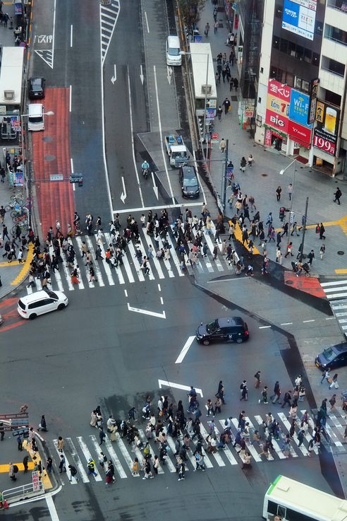 Passage Pietons Shibuya Crossing (Tokyo)
Altitude : 138 mètres