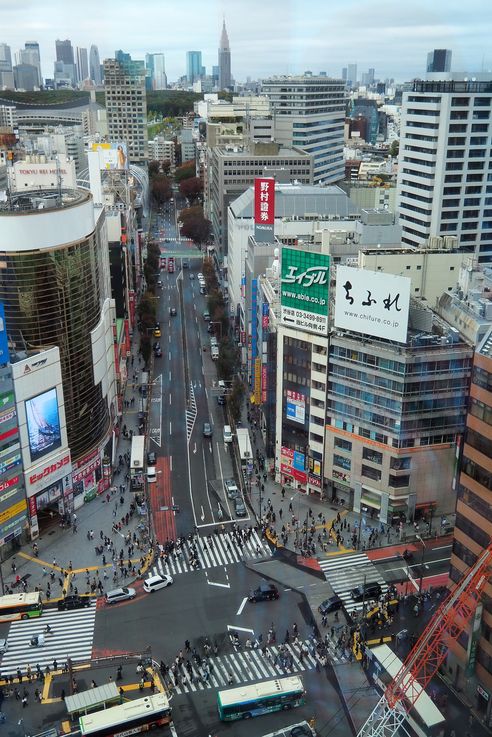 Passage Pietons Shibuya Crossing (Tokyo)
Altitude : 138 mètres