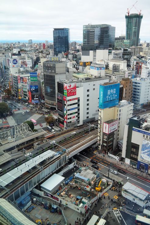 Dans la tour Shibuya Sky
Altitude : 138 mètres