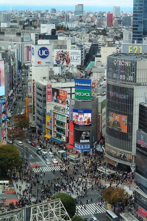 Passage Pietons Shibuya Crossing (Tokyo)
Altitude : 138 mètres