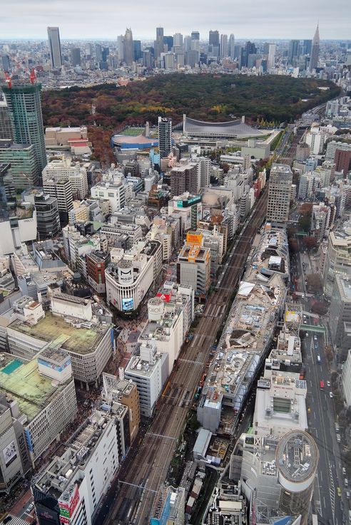 Dans la tour Shibuya (Tokyo)
Altitude : 286 mètres