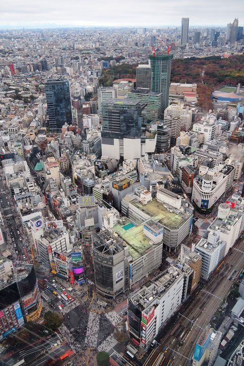 Dans la tour Shibuya (Tokyo)
Altitude : 286 mètres