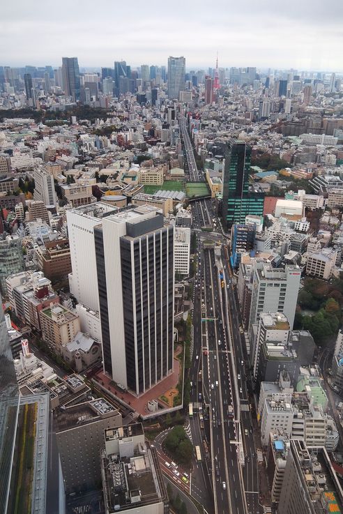 Dans la tour Shibuya Sky
Altitude : 121 mètres