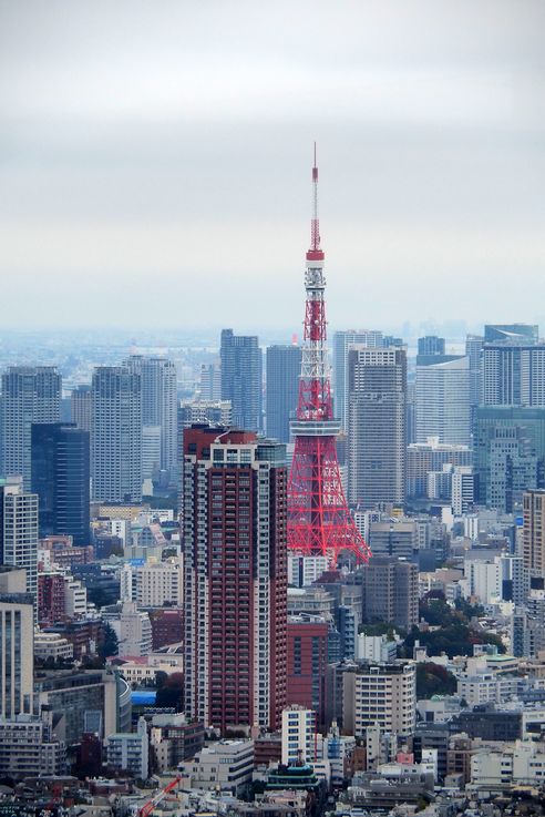 Dans la tour Shibuya Sky
Altitude : 121 mètres