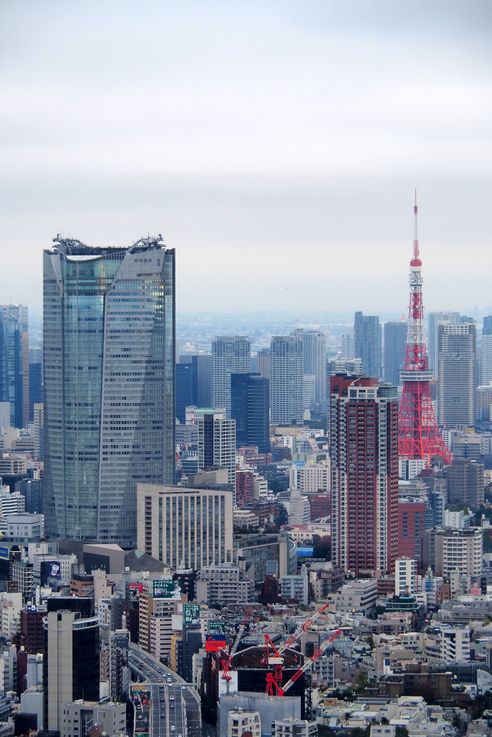 Dans la tour Shibuya Sky
Altitude : 122 mètres