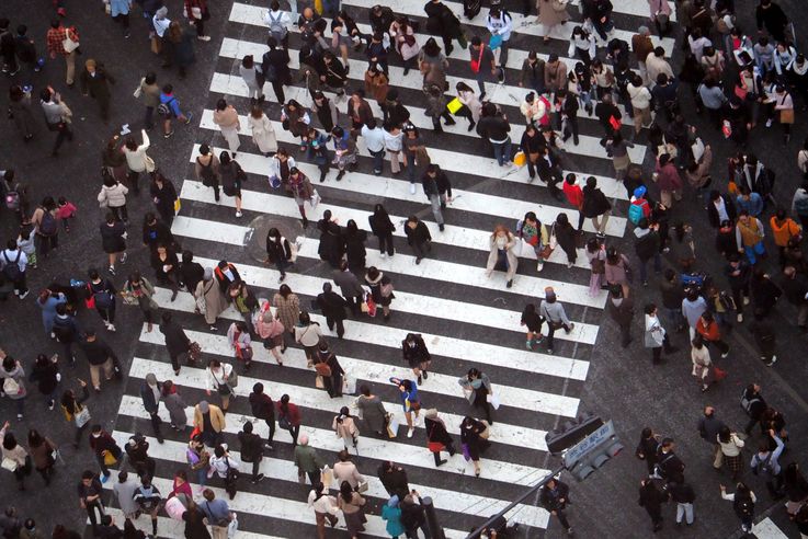 Passage Pietons Shibuya Crossing (Tokyo)
Altitude : 251 mètres