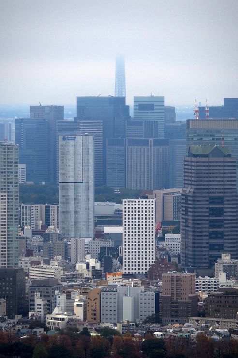 Tour Skytree depuis la Tour Shibuya 
Altitude : 73 mètres