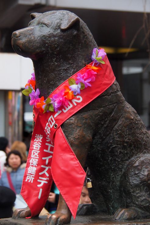 Hachiko Memorial Statue (Tokyo)
Altitude : 66 mètres