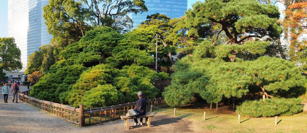 Jardin Hama Rikyu (Tokyo)
Altitude : 54 mètres