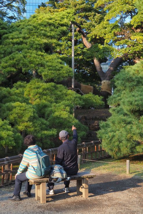 Jardin Hama Rikyu (Tokyo)
Altitude : 54 mètres