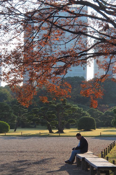 Jardin Hama Rikyu (Tokyo)
Altitude : 53 mètres