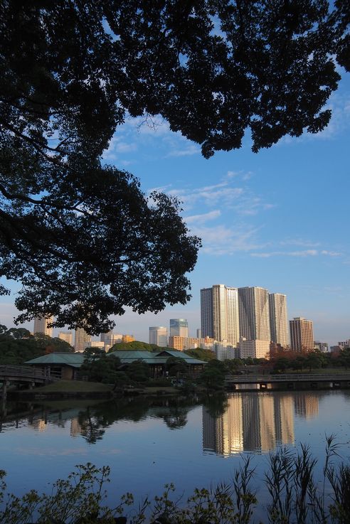 Jardin Hama Rikyu (Tokyo)
Altitude : 55 mètres