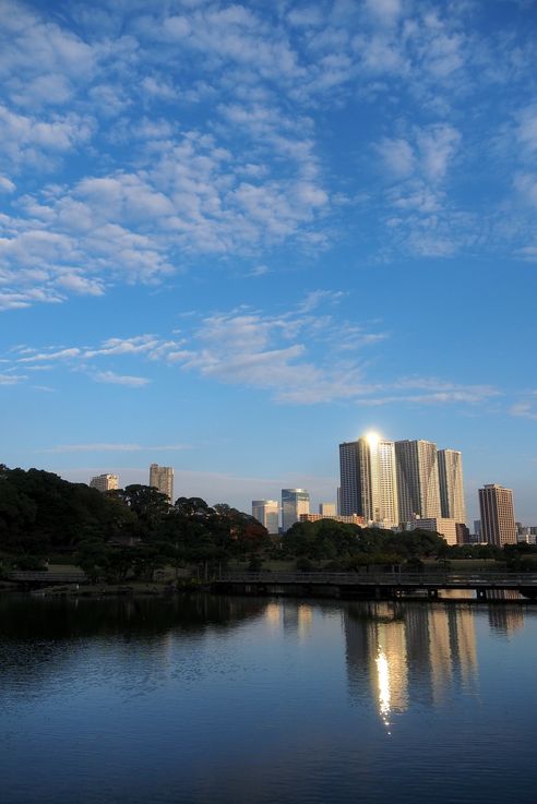 Jardin Hama Rikyu (Tokyo)
Altitude : 55 mètres