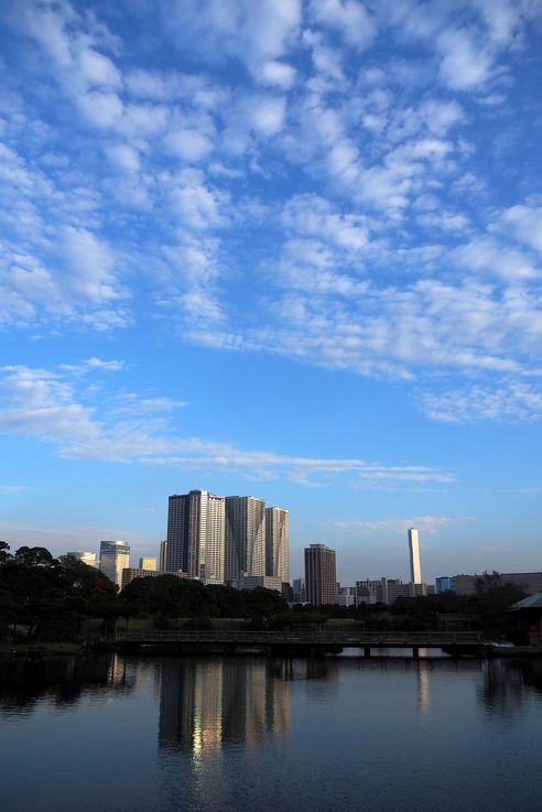 Jardin Hama Rikyu (Tokyo)
Altitude : 54 mètres