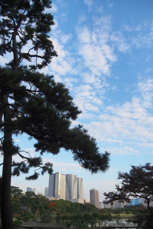 Jardin Hama Rikyu (Tokyo)
Altitude : 53 mètres