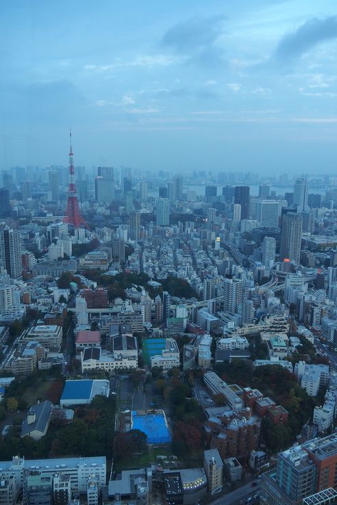 Tour De Tokyo depuis la Roppongi Hills Mori Tower
Altitude : 75 mètres