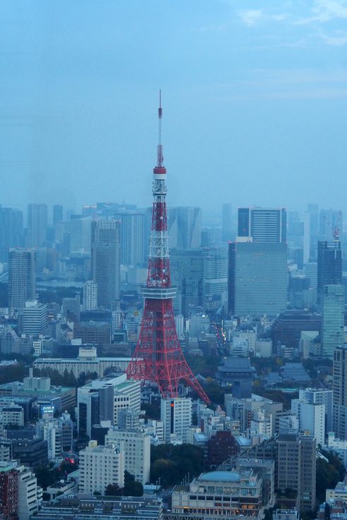 Tour De Tokyo depuis la Roppongi Hills Mori Tower
Altitude : 75 mètres