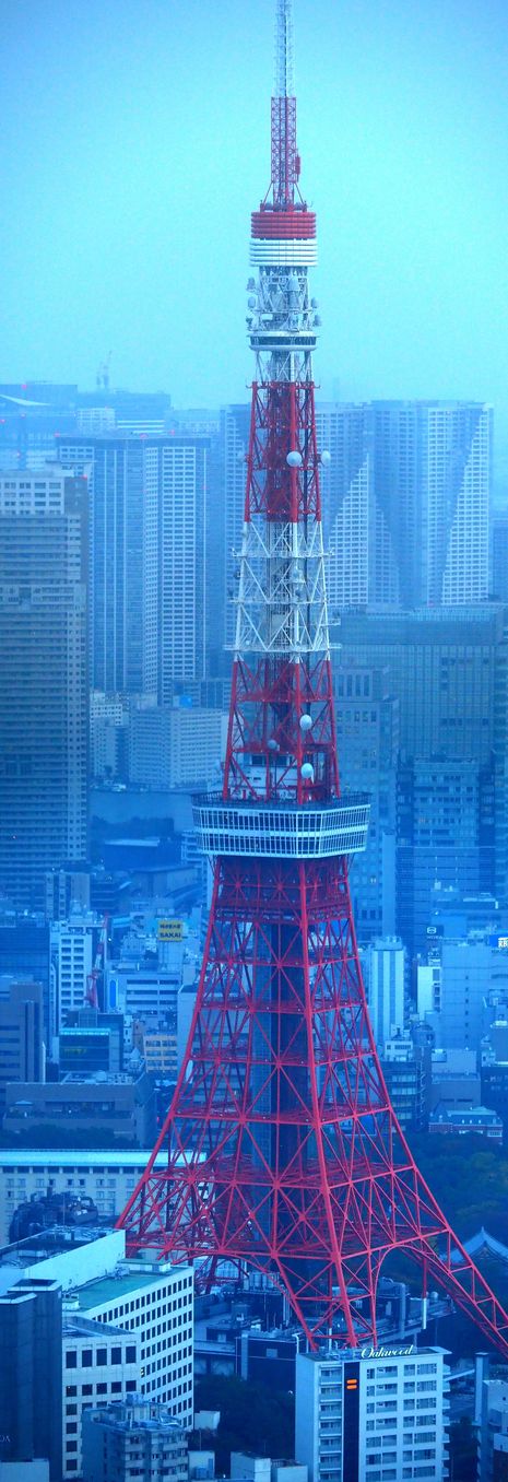 Tour De Tokyo depuis la Roppongi Hills Mori Tower