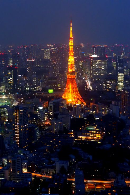 Tour De Tokyo depuis la Roppongi Hills Mori Tower
Altitude : 244 mètres