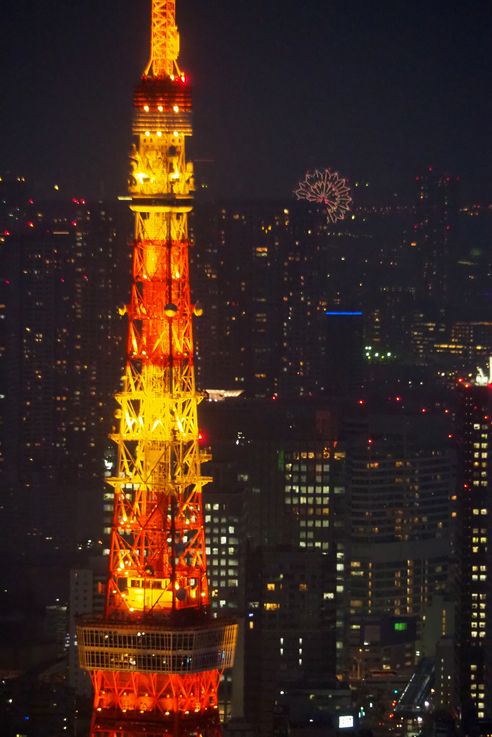 Tour De Tokyo depuis la Roppongi Hills Mori Tower
Altitude : 261 mètres