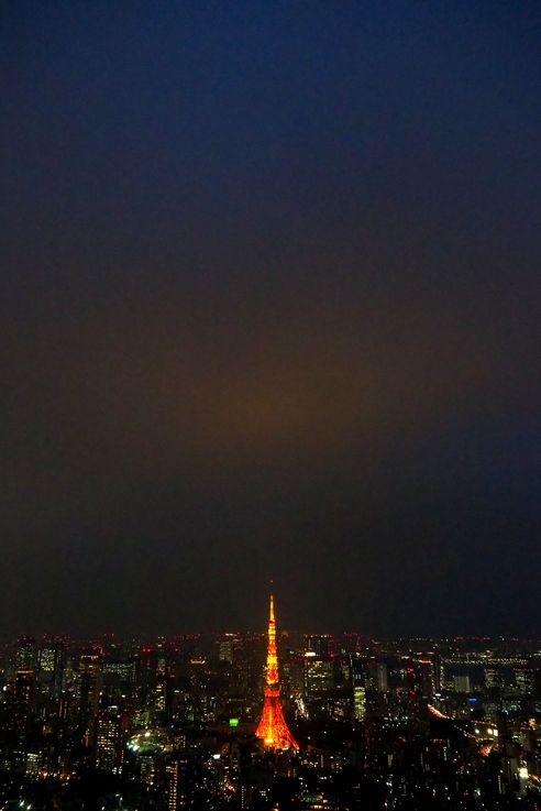 Tour De Tokyo depuis la Roppongi Hills Mori Tower
Altitude : 305 mètres