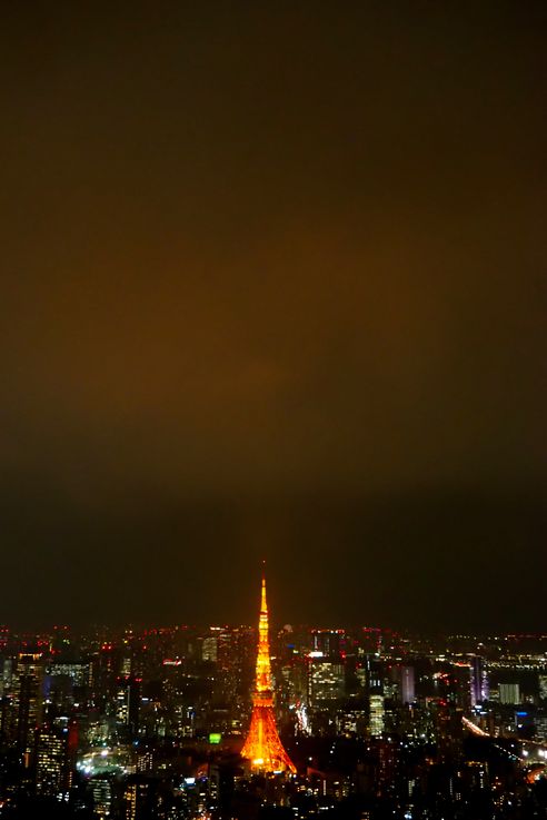 Tour De Tokyo depuis la Roppongi Hills Mori Tower
Altitude : 313 mètres