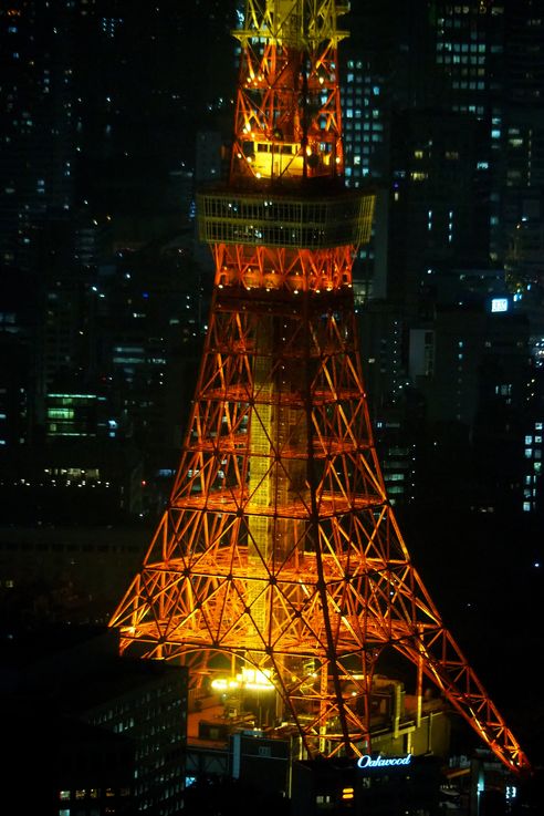 Tour De Tokyo depuis la Roppongi Hills Mori Tower
Altitude : 313 mètres