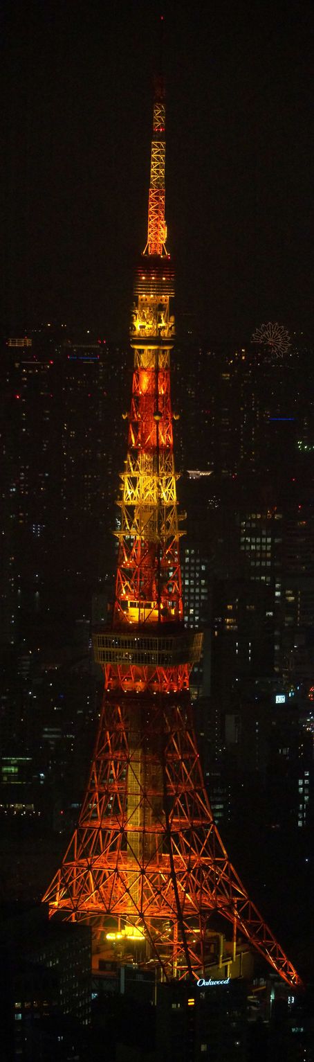 Tour De Tokyo depuis la Roppongi Hills Mori Tower
Altitude : 312 mètres