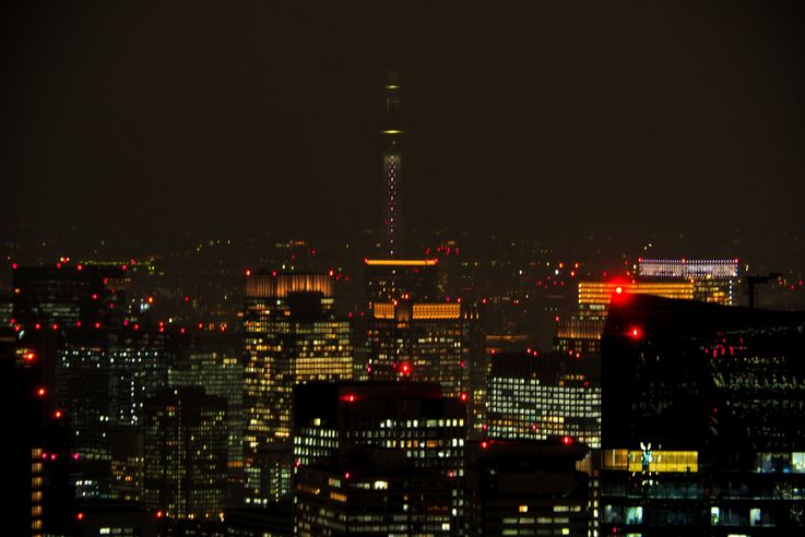 Dans la Roppongi Hills Mori Tower
Altitude : 311 mètres