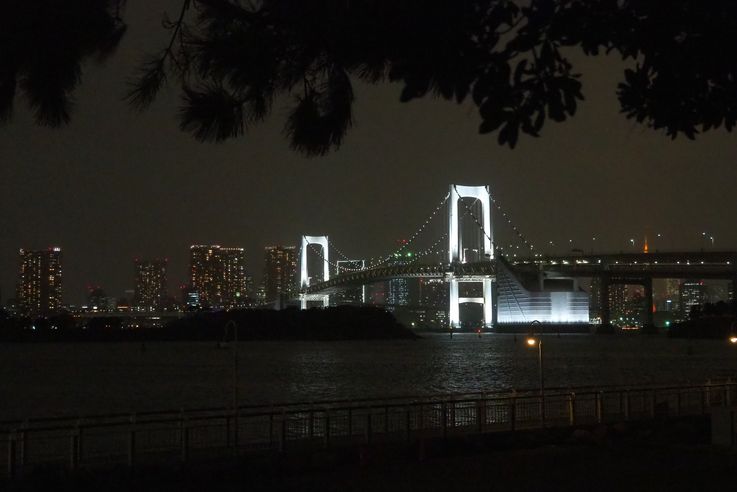 Pont Rainbow Bridge à Odaiba (Tokyo)
Altitude : 47 mètres