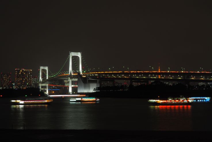 Pont Rainbow Bridge à Odaiba (Tokyo)
Altitude : 46 mètres