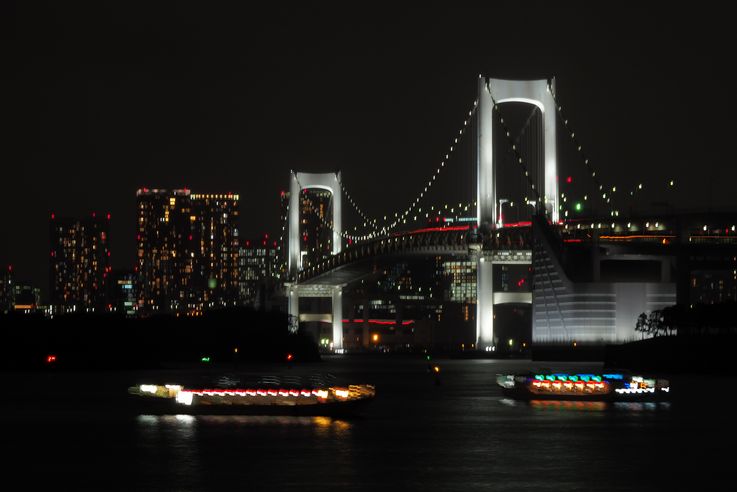 Pont Rainbow Bridge à Odaiba (Tokyo)
Altitude : 46 mètres