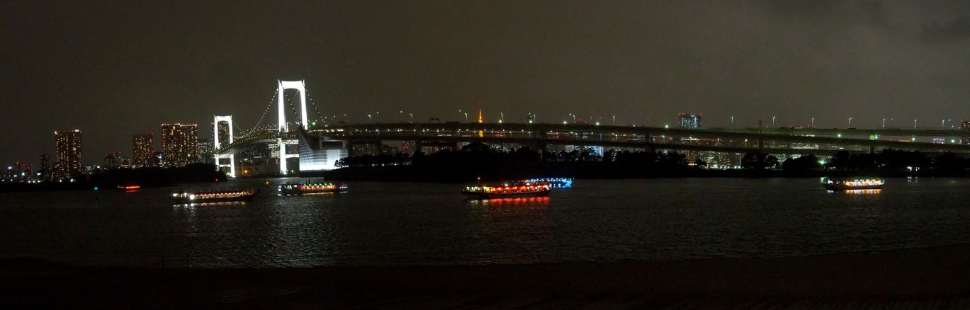 Pont Rainbow Bridge à Odaiba (Tokyo)
Altitude : 46 mètres