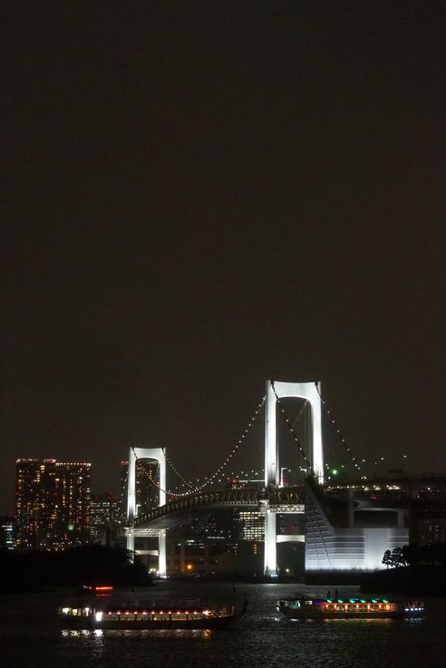 Pont Rainbow Bridge à Odaiba (Tokyo)
Altitude : 46 mètres