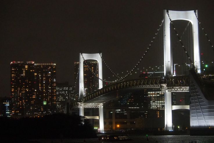 Pont Rainbow Bridge à Odaiba (Tokyo)
Altitude : 46 mètres