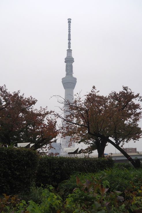 La Skytree depuis le Quartier Asakusa (Tokyo)
Altitude : 52 mètres