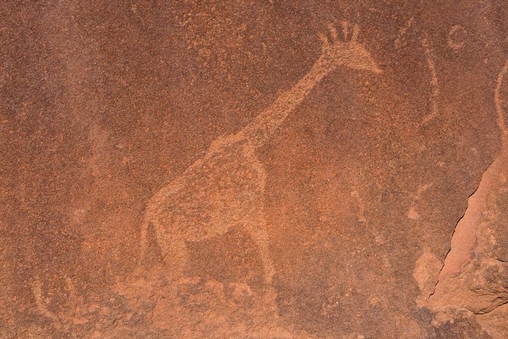 Gravure rupestre - Girafe - Twyfelfontein