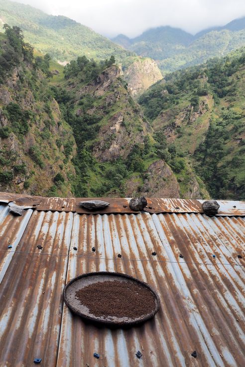Séchage du poivre. Village de Jagat
Altitude : 1243 mètres