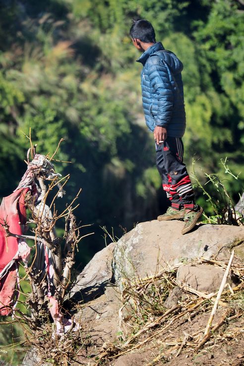 Berger des Annapurnas
Altitude : 1426 mètres